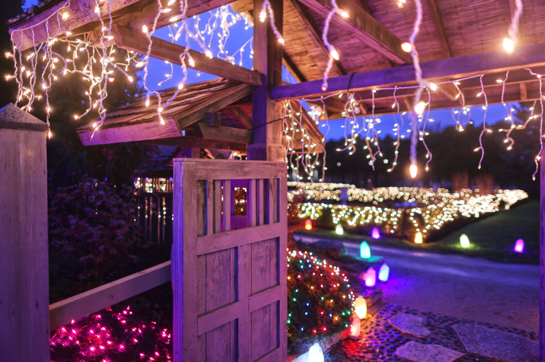 JVG_211121_LIGHTS11